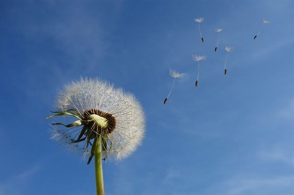 ヨーロッパの気候と偏西風の影響|高緯度でも暖かい理由