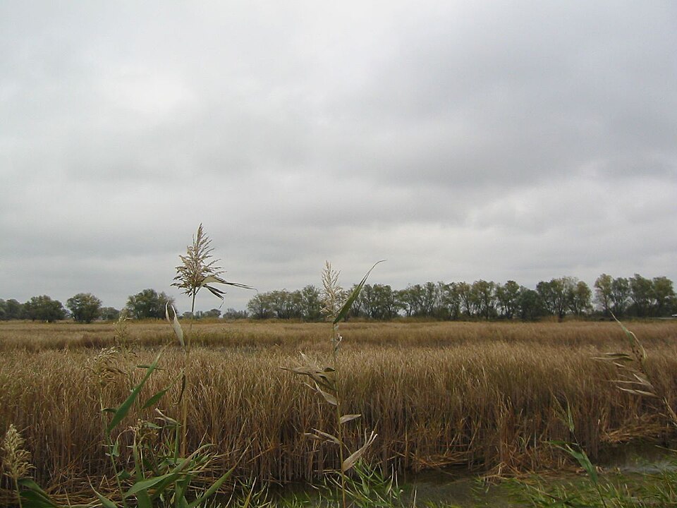 寒暖差が際立つロシア平原の草原の写真